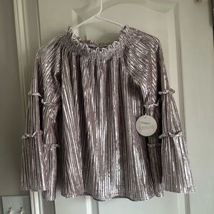 Hummingbird Small silver mauve color platinum bell sleeve velvet top
